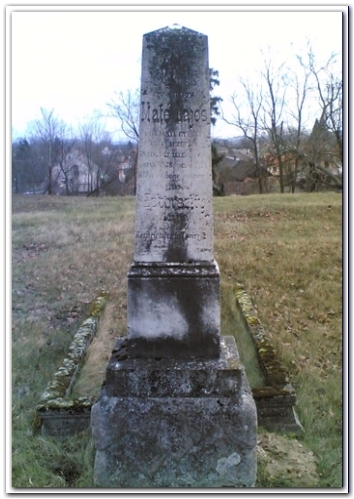 Máté-Lajos-1828-1898-Síremlék_354x499.jpg